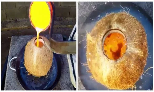 Điều kỳ diệu gì xảy ra khi đổ đồng nóng vào trái dừa?