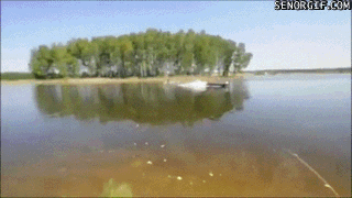 Vào luôn trong lều.