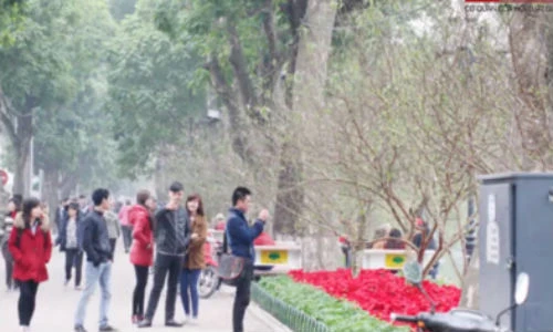 Đào rừng khoe sắc quanh hồ Hoàn Kiếm mừng Tết Nguyên đán