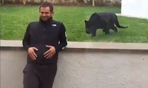 Hãi hùng cảnh báo đen lao thẳng về phía người đàn ông