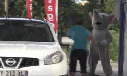 Đóng giả động vật để đi trêu chọc mọi người