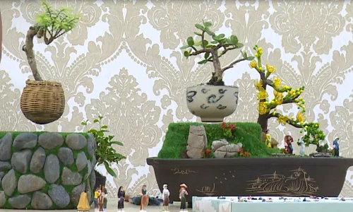 Cận cảnh bonsai tiền triệu bay lơ lửng ở Sài Gòn