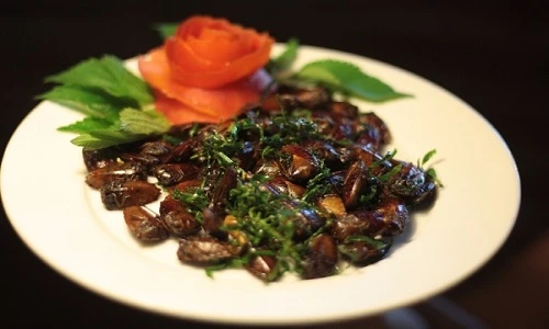 Nguy kịch vì ăn nhầm côn trùng có độc