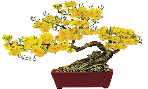 Ý nghĩa của các loài hoa Tết có thể bạn chưa biết