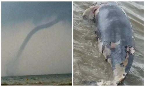 Hãi hùng vòi rồng trăm mét hút nước lên trời ở Vũng Tàu