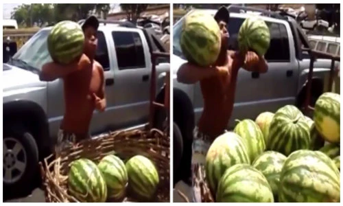 Xuất hiện thánh đỡ dưa hấu siêu đẳng