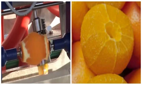 Xem cách người nước ngoài gọt trái cây