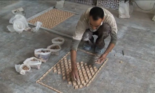 Nghệ thuật biến đất sét thành gạch của người Ấn Độ