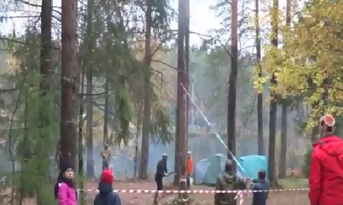 Kiểu đốn cây ngớ ngẩn chưa từng thấy