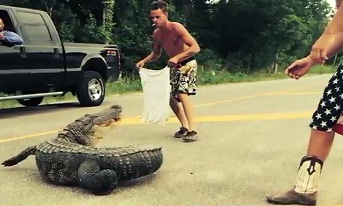 Thanh niên say rượu suýt chết vì bắt cá sấu bằng tay không