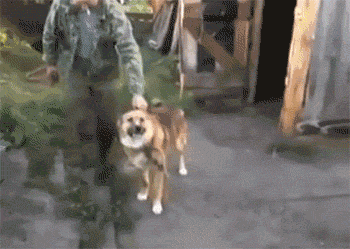 Ông chủ cứ bình tĩnh, em vào ngay đây.