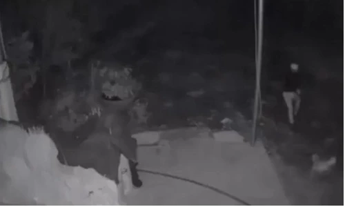 “Cẩu tặc” bị chó đuổi chạy bán sống bán chết