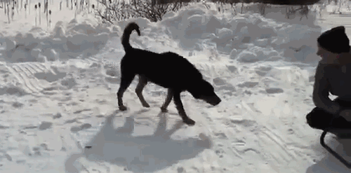 May quá, nó đi rồi!