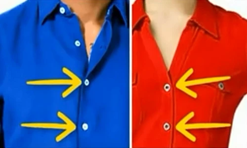 Giải mã bí ẩn cúc áo sơ mi nữ được may bên trái 