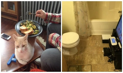 Những khoảnh khắc hài hước trong cuộc sống