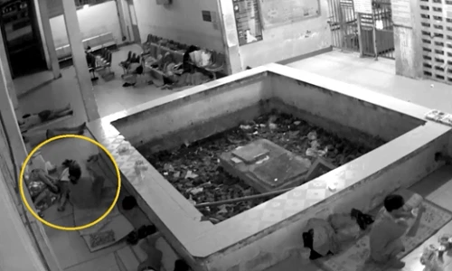 Đánh thuốc mê trộm trên 8 triệu đồng của người nuôi bệnh