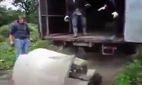 Cười vỡ bụng với những pha nhiệt tình thành phá hoại