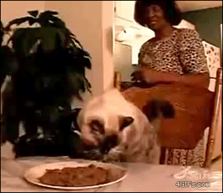 Em tự ăn được mà!