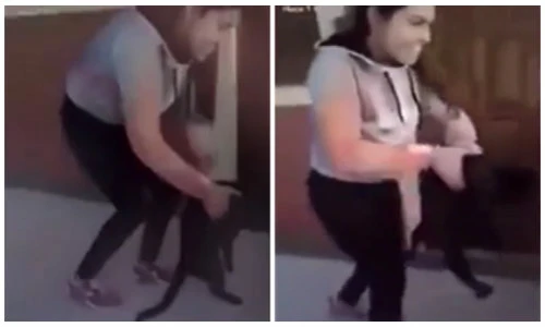 Cô gái ném mèo từ tầng 4 để thí nghiệm gây xôn xao