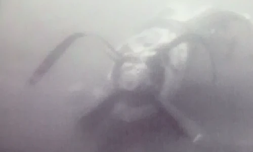 Những hình ảnh đầu tiên của CASA 212 dưới đáy biển 