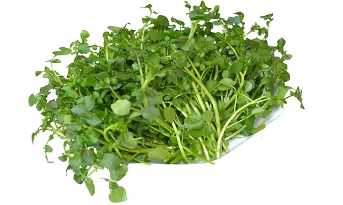 Những bài thuốc chữa bệnh tuyệt vời từ rau cải xoong