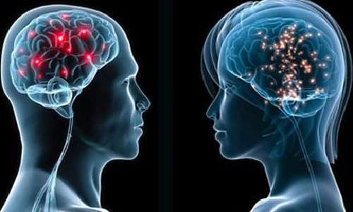 Bộ não “lao động” thế nào trong 24 giờ?