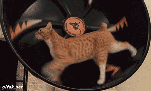 Quay đều, quay đều...