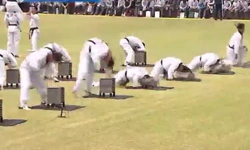 Biệt kích Hàn Quốc khoe sức mạnh qua tuyệt kỹ Taekwondo