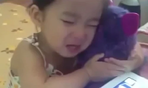 Bé gái khóc thương thú bông đến sưng mắt