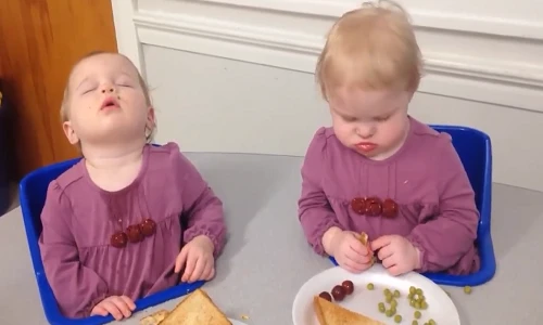 Hai em bé vừa ăn vừa ngủ gật siêu đáng yêu