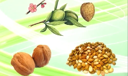 Những công dụng thần kỳ ít biết của hạnh nhân