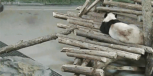 Cái gì đụng vào mình vậy?