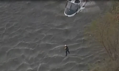 Xem lính cứu hỏa đu dây cứu chó giữa dòng lũ