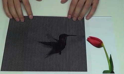 Những ảo ảnh khiến bạn không dám tin vào mắt mình