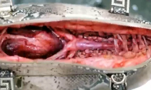 Bí mật khủng khiếp đằng sau những chiếc túi da sang chảnh