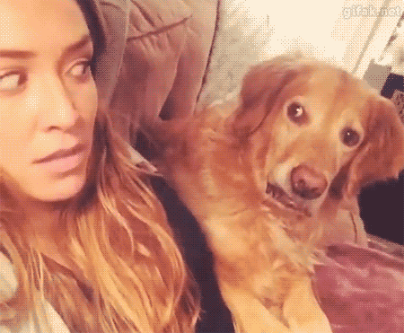 Nhìn cái mặt sao khó coi vậy?