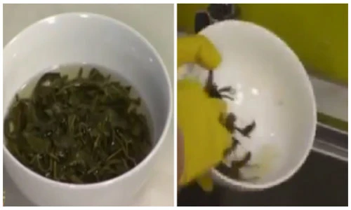 Mẹo vặt đánh bay vết dầu mỡ trong nhà bếp