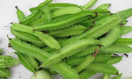 Những món ăn ngon từ đậu rồng, loại rau “mọc trên mây“