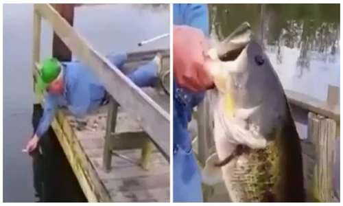 Người đàn ông dùng tay làm cần câu cá và cái kết bất ngờ