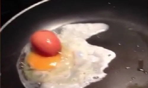 Ngỡ ngàng phát hiện “trứng trong trứng” cực hiếm gặp