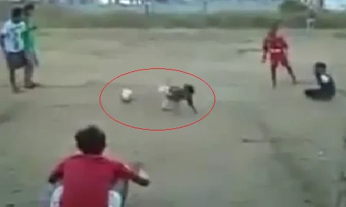 Clip hài hước: Khi bé sút phạt