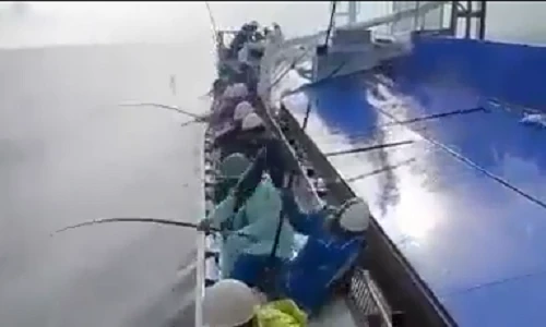 Ngỡ ngàng với “cần câu Doremon” thu hàng tấn cá 1 ngày