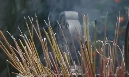 Sự thật kinh hoàng đằng sau những cây hương thơm