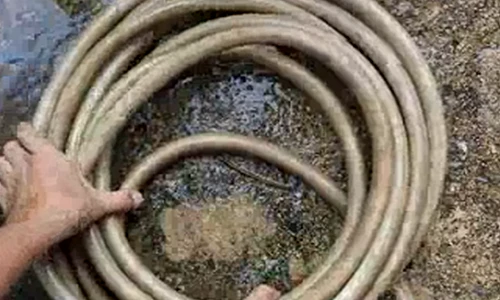 Cách vệ sinh bên trong dây bơm nước đơn giản không ngờ