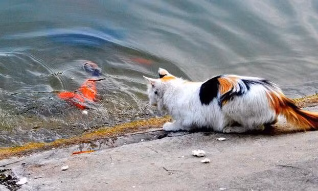 "Phen này ông Táo chắc phải bắt Grab về trời thôi, xe cộ thế này thì hỏng hết rồi!" - Một cư dân mạng hóm hỉnh bình luận.