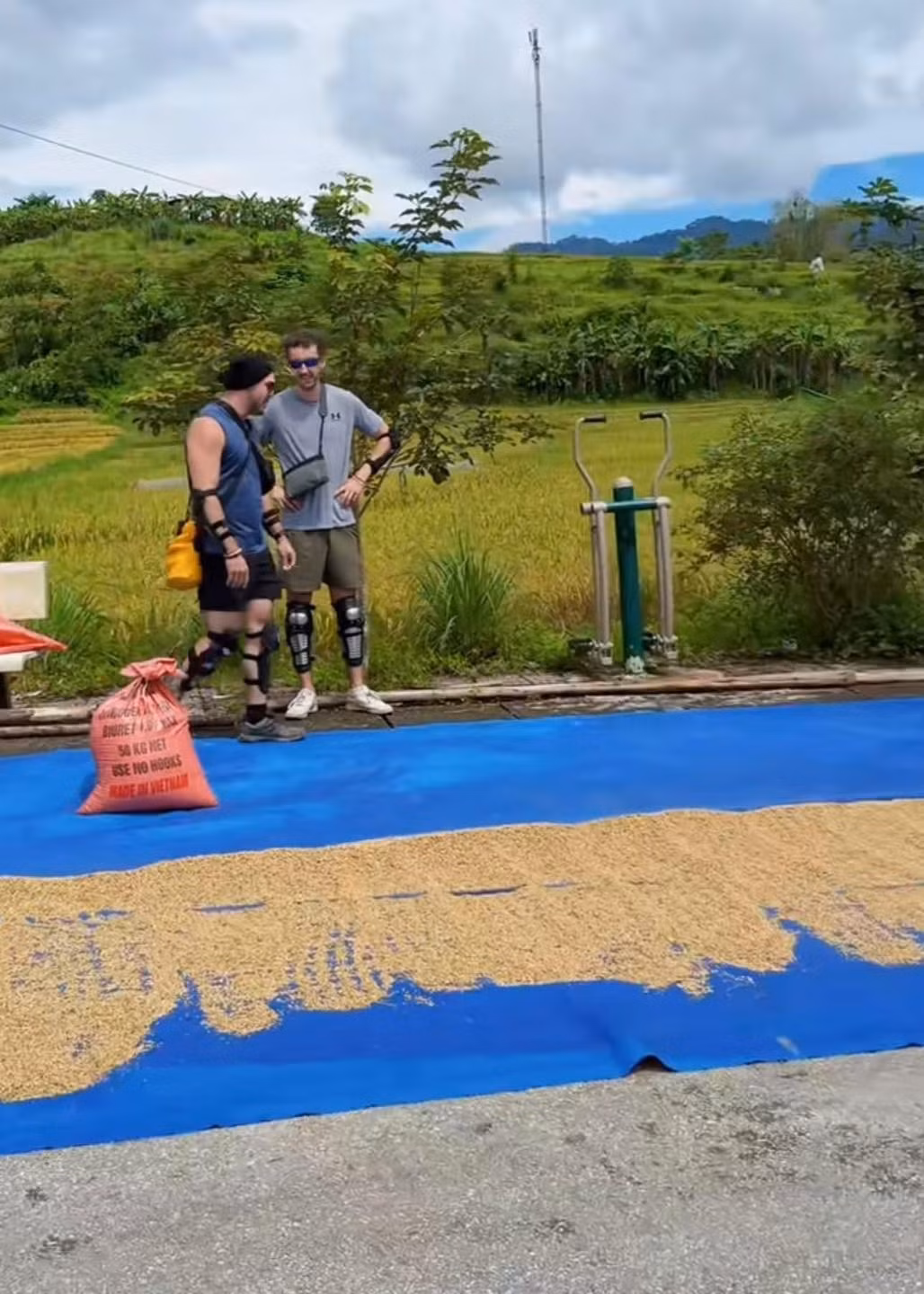 Họ diện trang phục năng động, mang theo các thiết bị bảo hộ chân tay, và hào hứng xới thóc trên tấm bạt xanh rộng lớn dưới ánh nắng mặt trời. Thậm chí, một du khách nam còn vác bao lúa trên dưới 50kg trên vai, thể hiện sự nhiệt tình và mong muốn được trải nghiệm trọn vẹn cuộc sống của người dân địa phương.