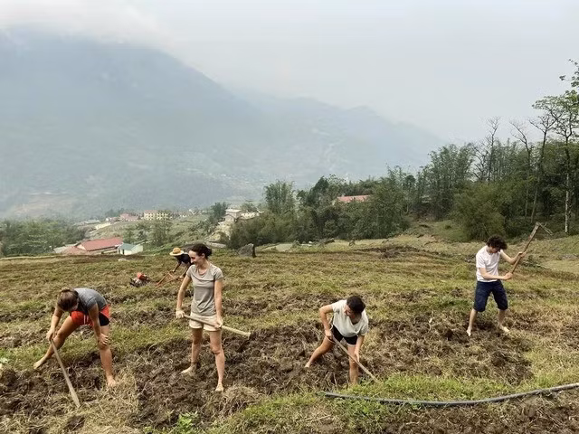 Trước đó, hình ảnh tương tự cùng từng được mạng xã hội chia sẻ rộng rãi, khi nhiều du khách Tây hòa mình vào cuộc sống chân thực của người dân khi không ngần ngại xuống ruộng, cuốc đất, trồng trọt.