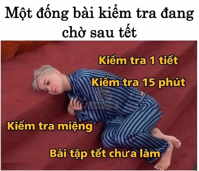 Nếu có thứ gì nặng nề hơn số cân nặng vừa tăng, thì đó chính là đống bài tập Tết chưa chạm tay vào và hàng loạt bài kiểm tra đang "mai phục" sẵn ở lớp. Một cảm giác bất lực đến mức chỉ muốn... nằm xuống luôn tại chỗ. (Ảnh: Top comments)