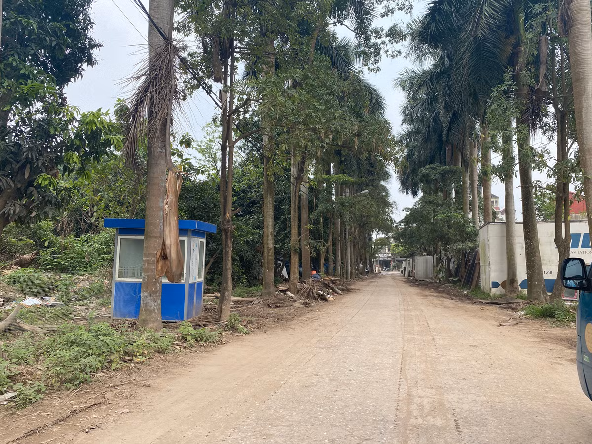 Đường vào bụi đất dày, lầy lội, hai bên cỏ mọc, không có dấu hiệu được chăm sóc hay duy tu trong thời gian dài.