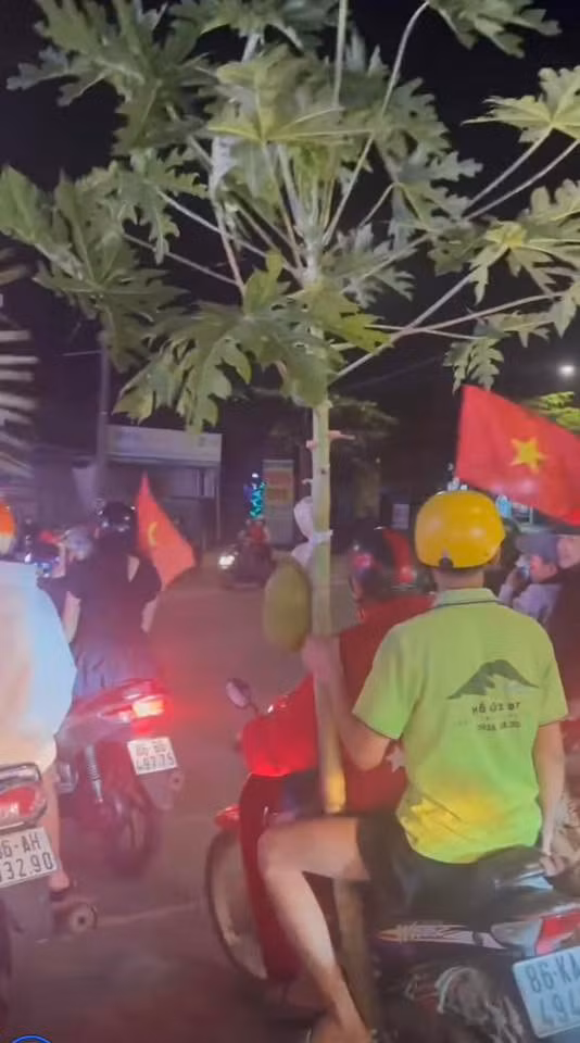 Không hiểu bằng cách nào, những cây chuối hay thậm chí là cả một cây đu đủ còn nguyên quả lại có thể yên vị trên yên xe máy giữa dòng người đông đúc.